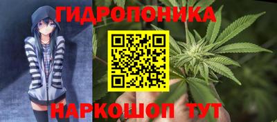 индика Малоярославец