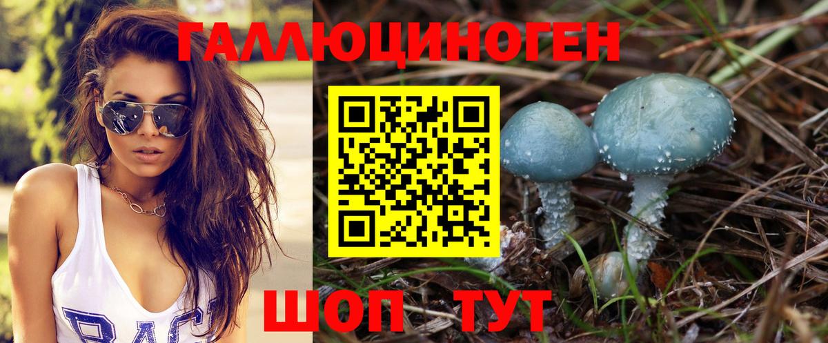 Псилоцибиновые грибы прущие грибы Вольск